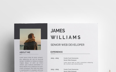 Modello di curriculum Williams Clean