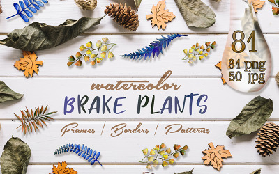 Brake Plants PNG Watercolor Set - Illustration