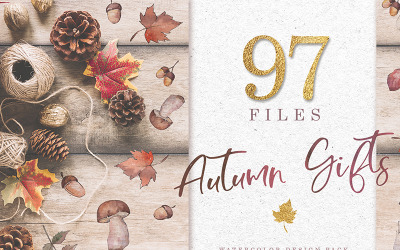 Gifts  Of Autumn PNG Watercolor Set - Illustration