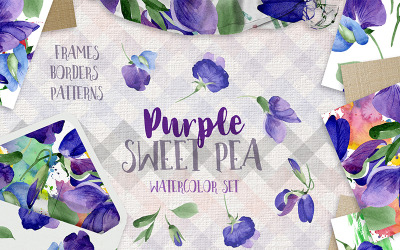 Purple Sweet Pea PNG Watercolor Flower Set Illustration 73780