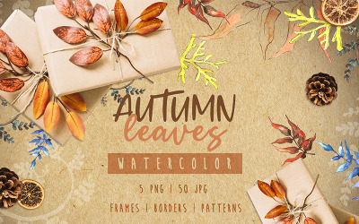 Watercolor Autumn Leaves png - Illustration