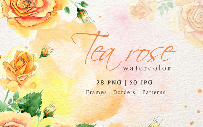 Aquarel thee gele roos Png Set - illustratie
