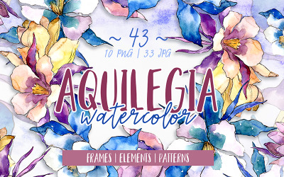 Beautiful Aquilegia PNG Watercolor Set - Illustration