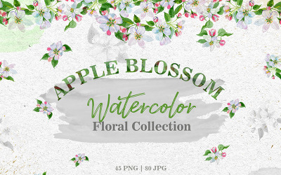 Apfelblüte PNG Aquarell Set - Illustration