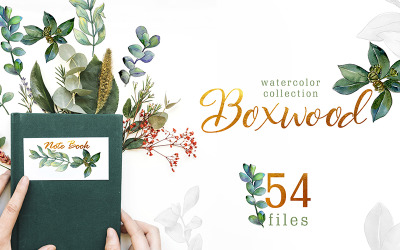Green Watercolor Boxwood Png - Illustration