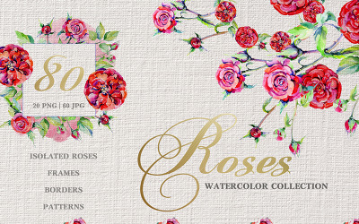 Rose Red Magic aquarel Png - illustratie