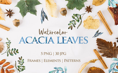 Acacia Leaves Watercolor Png - Illustration