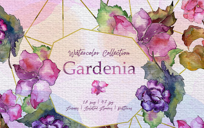 Gardenia Aquarell png - Illustration