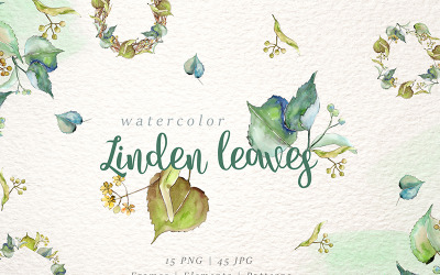 Illustration namens "Linden Leaves Watercolor png" #76411