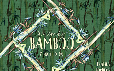 BAMBOO akvarell png - illusztráció