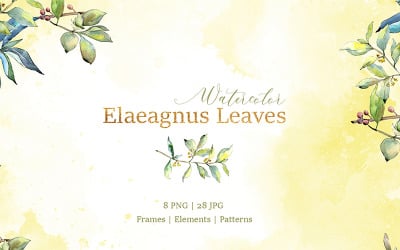 Elaeagnus Leaves Watercolor Png - Illustration