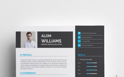Parole professionali curriculum/modello di CV
