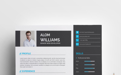 Professional Words Resume/CV Template
