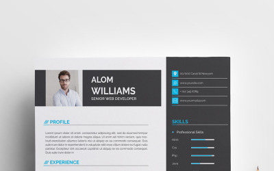 Professionele woorden CV/CV-sjabloon