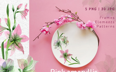 Ilustrace "Pink Amaryllis Watercolor Png" #76724
