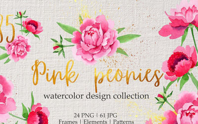Pivoines roses légendaires aquarelle png - Illustration
