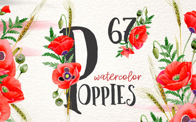 Magic Poppies red Watercolor Png - Ilustração