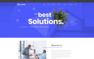 ConsultBiz - Financial Advisor Multipage Classic HTML Bootstrap Template Web №77289