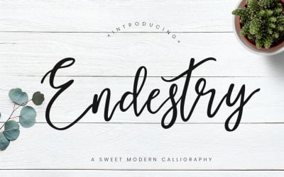 Endestry Modern kalligráfia betűtípus