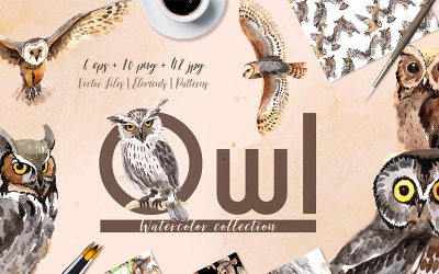 Owl Watercolor png - Ilustração
