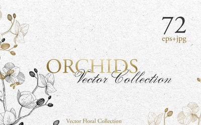 Branch Of Orchids Vector Watercolor - Illustration