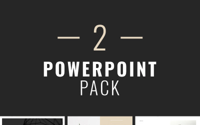 2 Professionell PowerPoint-mall