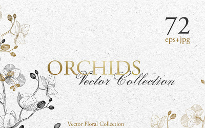 Rama de orquídeas Vector Acuarela - Ilustración