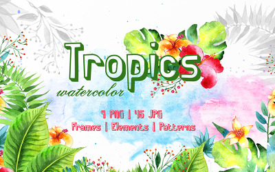 Trópicos Acuarela Png - Ilustración