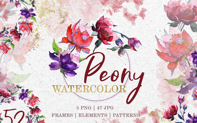 Peony Ternura Acuarela Png - Ilustración