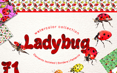 Mariquita Acuarela png - Ilustración