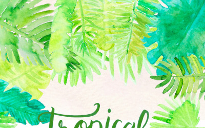 23 Tropical Palm Leaf - Illustration