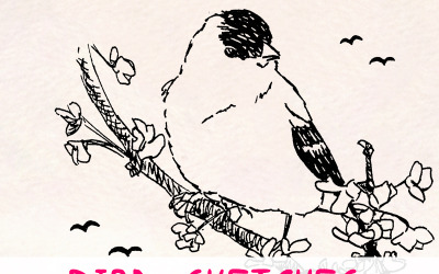16 Inked Bird Sketch Elements - Ugglor, ankor och sångfågel - Illustration