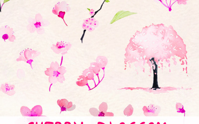 46 Cherry Blossom Sakura - Illustration