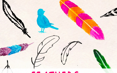 35 Feathers Acquerello e inchiostro - Illustrazione