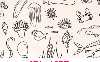 60 Havs- och havsdjur - Illustration