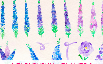 37 Larkspur Delphinium Çiçeği - İllüstrasyon