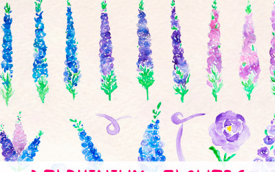 37 Larkspur Delphinium Flower - Illustration