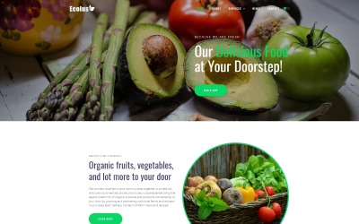 Responsive Ecolus - Organic Food Delivery ECommerce Modern WordPress Elementor Theme #80218