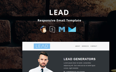 Lead - Modèle de Newsletter Responsive Corporate