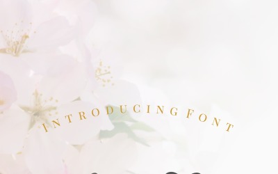 Daysha - bruiloft lettertype