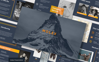 Presentaciones de Google de Molex