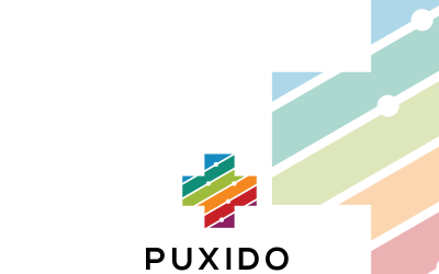 Modèle de logo Puxido