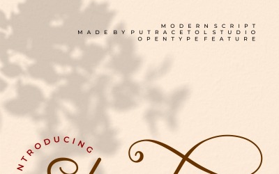 Sherley Schriftart
