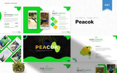 Peacok - Keynote sablon