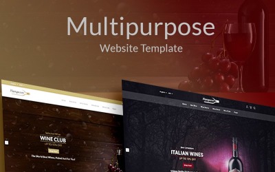 Hangover Responsive Multipurpose E-Commerce Website Template