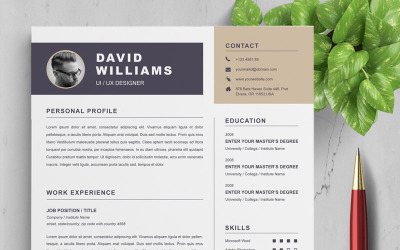 Modello di curriculum di David