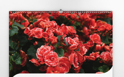 One Page Calendar 2020 Planner