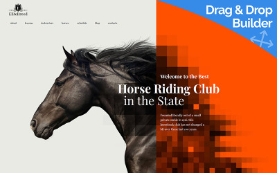 Elite Breed - Horse Riding Club №89332