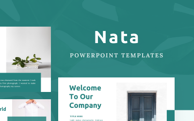 Шаблон NATA PowerPoint
