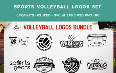 Sport Volleyball Set Logo Vorlage